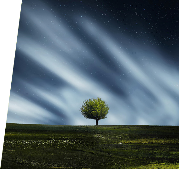 人生就是博_首页